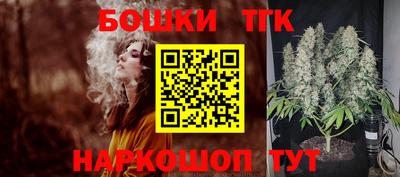 спиды Канаш