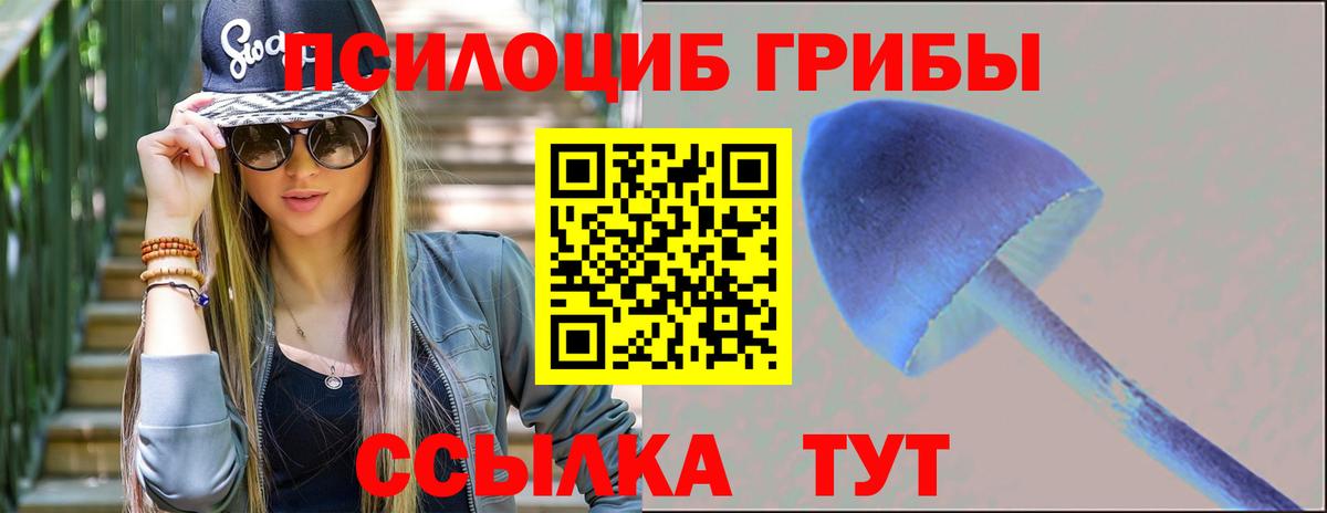 Псилоцибиновые грибы Cubensis Лабытнанги